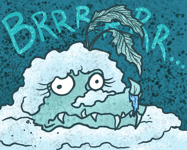 6d544679fa30f71b8e18fef6791d3b1eee255882.png